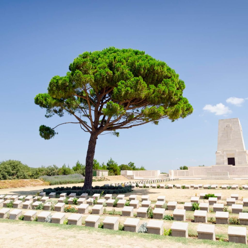 Gallipoli Day Trip from istanbul