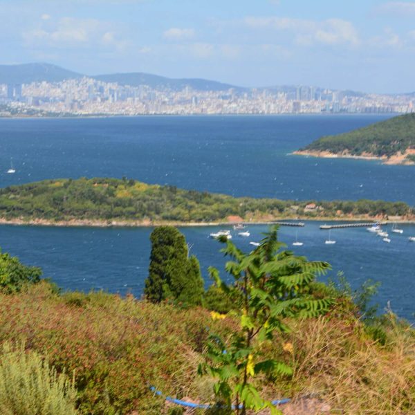 Princes’ Islands Full-Day Tour from Istanbul