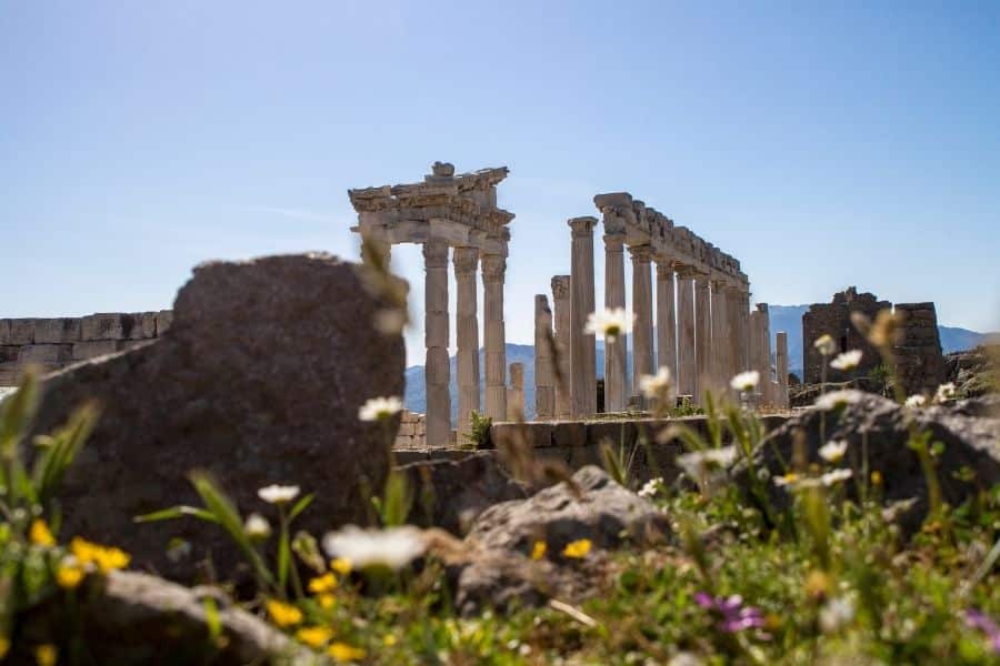 Altar of Zeus