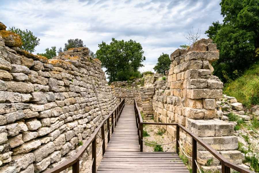 Sacrificial Altars of Troy